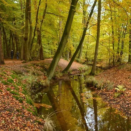 Gasthof De Zwaan Elspeet