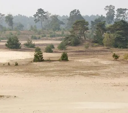 Herberg De Zwaan