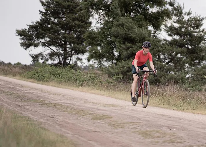 De Zwaan Han/Misafirhane