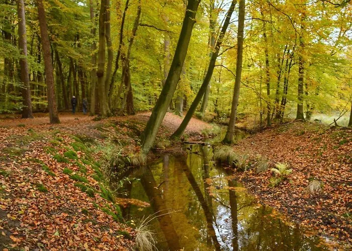 Locanda De Zwaan Elspeet