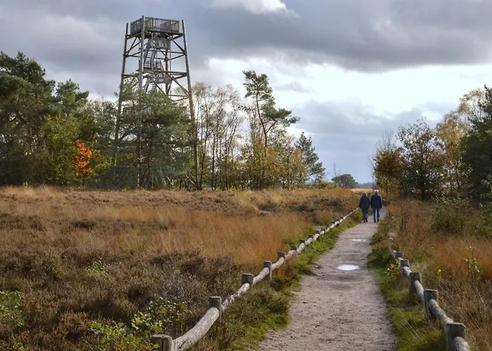 イン De Zwaan エルスペート