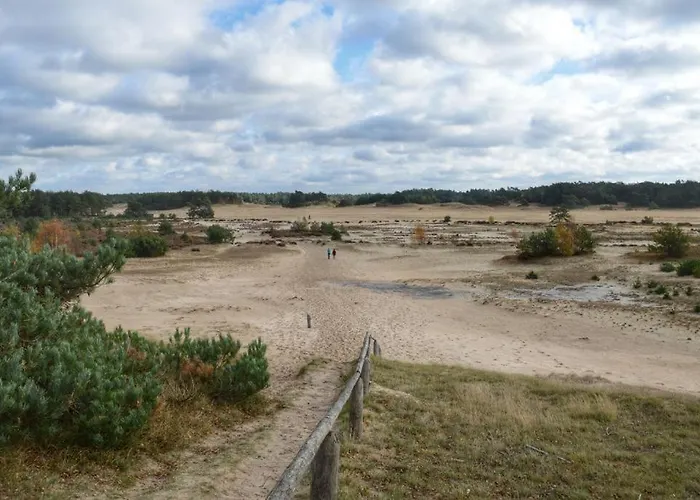 De Zwaan Han/Misafirhane