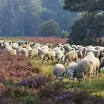 De Zwaan