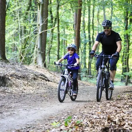 אורחן De Zwaan אלספיט