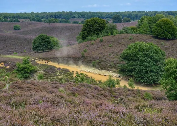 De Zwaan Värdshus *