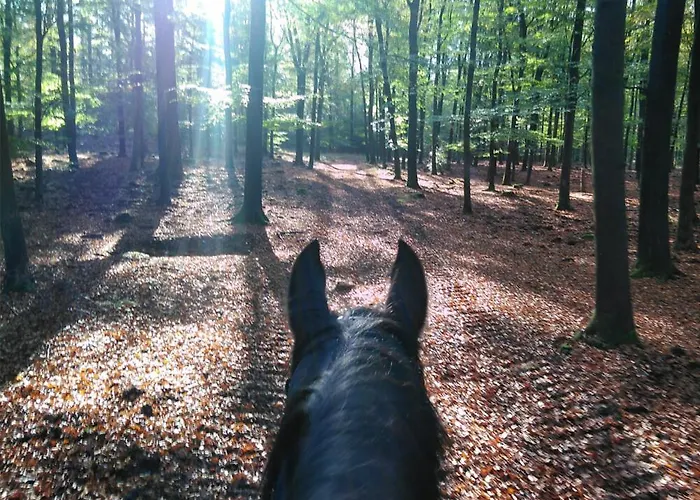 De Zwaan Värdshus *